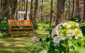 Туры в отель CEREJA Hotel & Resort Da Lat