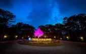Туры в отель CEREJA Hotel & Resort Da Lat