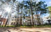 Туры в отель CEREJA Hotel & Resort Da Lat