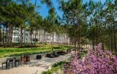 Туры в отель CEREJA Hotel & Resort Da Lat
