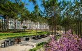 Туры в отель CEREJA Hotel & Resort Da Lat