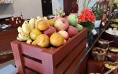 Туры в отель Tmark Resort Vang Vieng