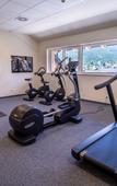 Туры в отель COOEE alpin Hotel Dachstein