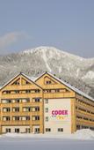 Туры в отель COOEE alpin Hotel Dachstein