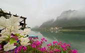 Туры в отель Phong Nha Coco Riverside Homestay