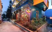 Туры в отель Mega View Homestay