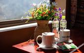 Туры в отель Mega View Homestay