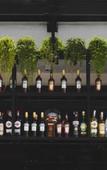 Туры в отель White Goose Boutique Hotel