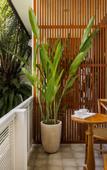 Туры в отель White Goose Boutique Hotel