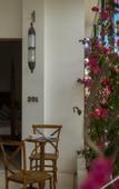 Туры в отель White Goose Boutique Hotel