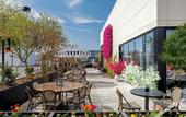 Туры в отель The ENGLISH Hotel, Las Vegas, a Tribute Portfolio Hotel, 21 and over