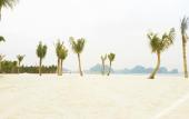 Туры в отель The Bay - Ha Long Homestay