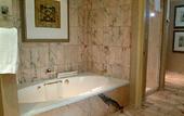 Туры в отель InterContinental Miami