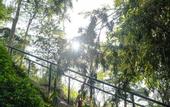 Туры в отель Genting View Resort