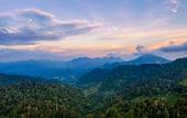 Туры в отель Genting View Resort
