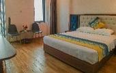 Туры в отель Swan Hotel