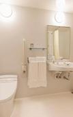 Туры в отель Sotetsu Fresa Inn Sapporo-Susukino
