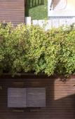 Туры в отель Bloom House by Sweet Porto