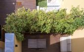 Туры в отель Bloom House by Sweet Porto