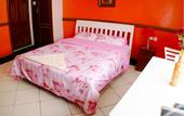Туры в отель Red Buffalo House Hotel
