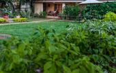 Туры в отель Red Buffalo House Hotel