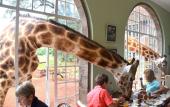 Туры в отель Red Buffalo House Hotel