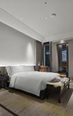 Туры в отель Hilton Shigatse