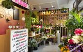 Туры в отель RockyPop Grenoble Hotel