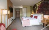 Туры в отель Douro Castelo Signature