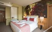 Туры в отель Douro Castelo Signature