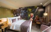 Туры в отель Douro Castelo Signature