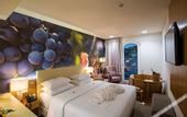 Туры в отель Douro Castelo Signature