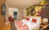 Туры в отель Douro Castelo Signature