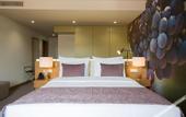 Туры в отель Douro Castelo Signature