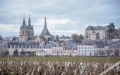 Туры в отель Fleur de Loire