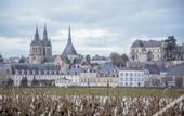 Туры в отель Fleur de Loire
