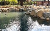 Туры в отель Hilton Quang Hanh Onsen Resort