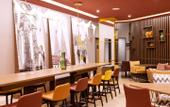 Туры в отель Hampton by Hilton Regensburg