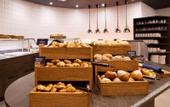 Туры в отель Hampton by Hilton Regensburg