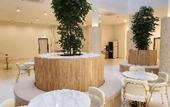 Туры в отель Wellesley Hotel