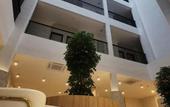 Туры в отель Wellesley Hotel