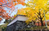 Туры в отель APA Hotel Hakata Higashihieekimae