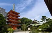 Туры в отель APA Hotel Hakata Higashihieekimae