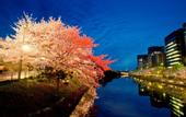 Туры в отель APA Hotel Hakata Higashihieekimae