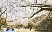 Туры в отель APA Hotel Hakata Higashihieekimae