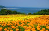 Туры в отель APA Hotel Hakata Higashihieekimae