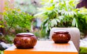 Туры в отель THE KAGAYA KYOTO Japanese Style Inn