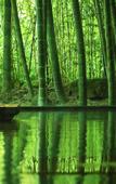 Туры в отель Yukyou no hibiki YUSAI