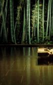 Туры в отель Yukyou no hibiki YUSAI