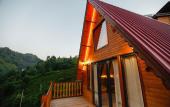Туры в отель Pafuli Bungalov
